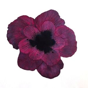 Meet your Posher, Janet